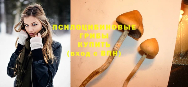 мескалин Балахна